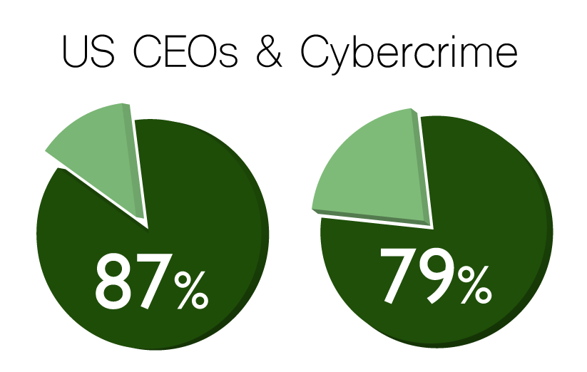 pie charts showing percentage of cyber-threats concerns by businesses